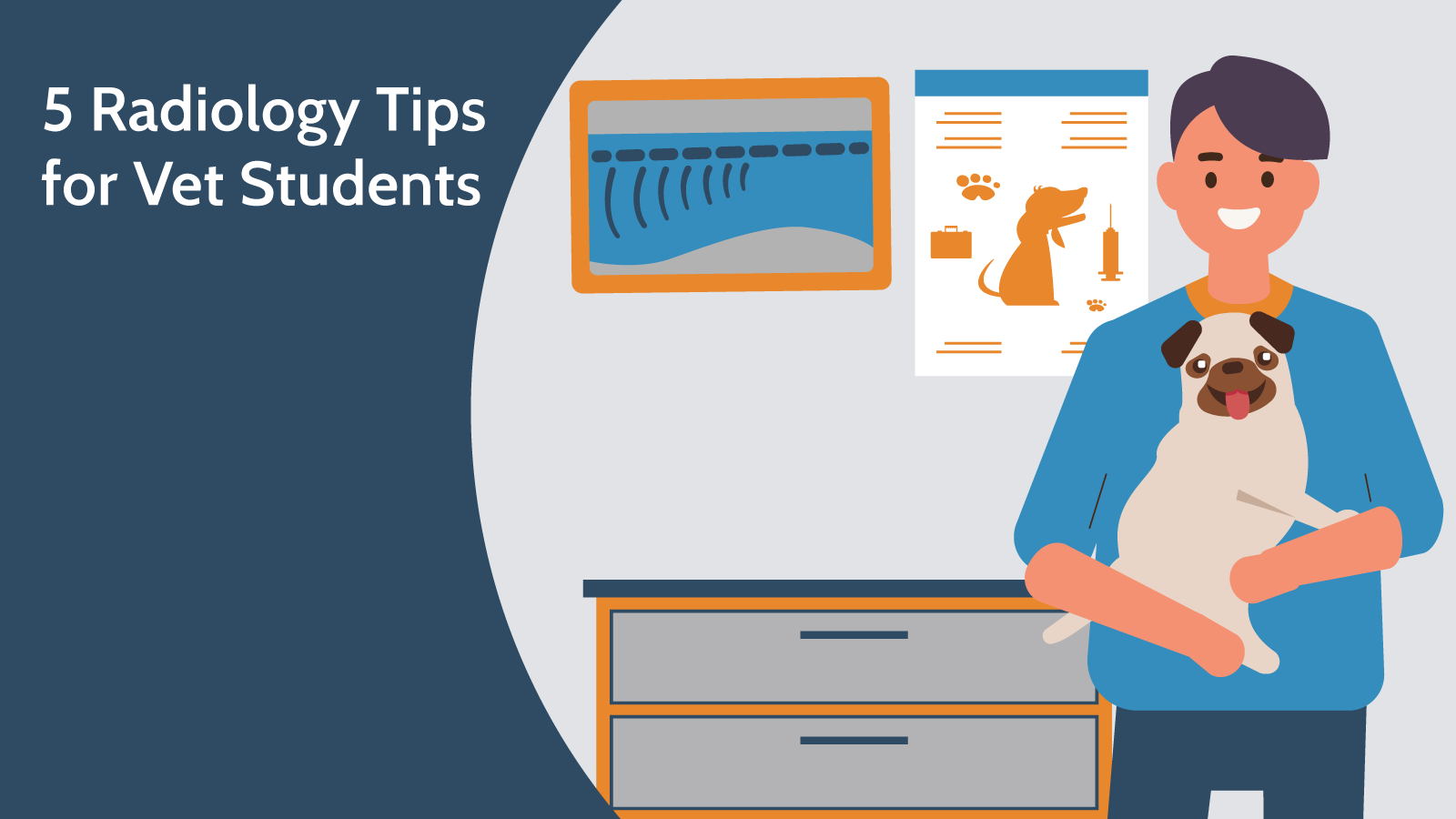 5 Radiology Tips for Vet Students